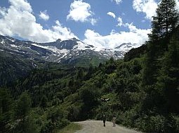 Vakantiehuizen in Tirol